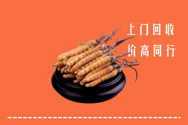 高价求购：新化回收散虫草