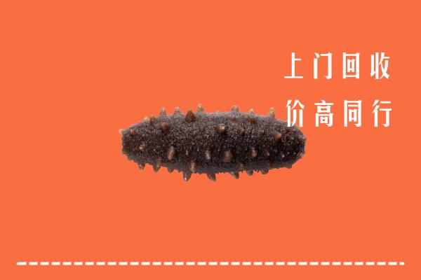 新化回收海参