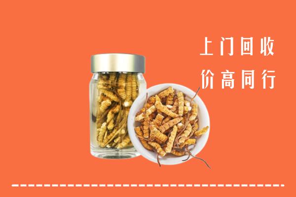 新化回收冬虫夏草